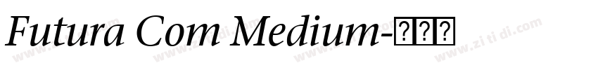 Futura Com Medium字体转换